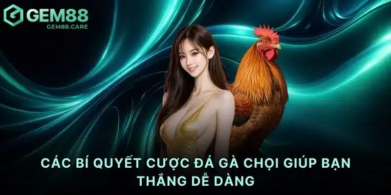 Các bí quyết cược đá gà chọi giúp bạn thắng dễ dàng