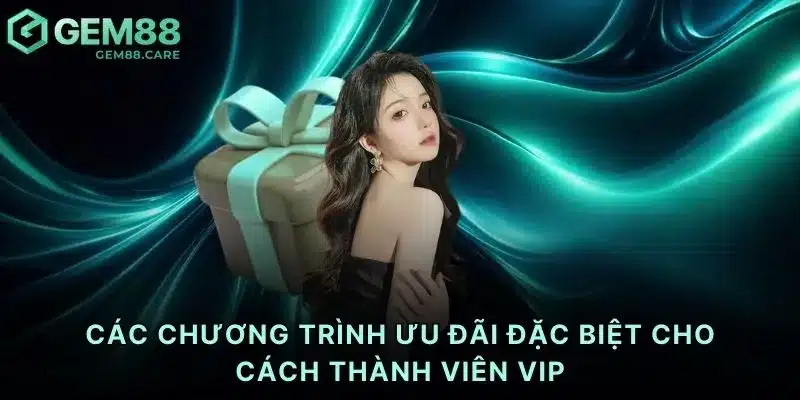 Các chương trình ưu đãi đặc biệt cho cách thành viên VIP
