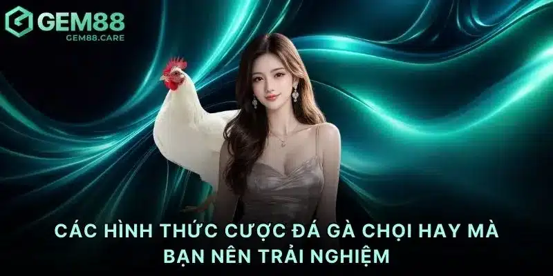 Các hình thức cược đá gà chọi hay mà bạn nên trải nghiệm