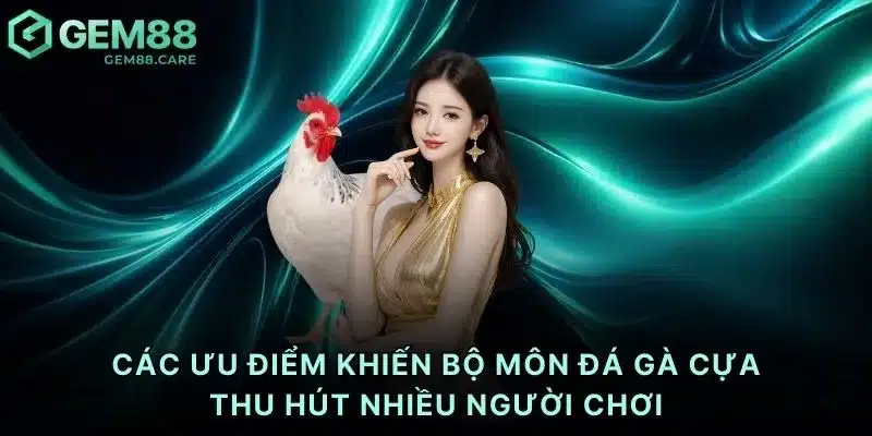 Các ưu điểm khiến bộ môn đá gà cựa thu hút nhiều người chơi