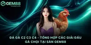 Đá gà C2 C3 C4