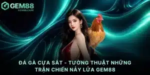 Đá gà cựa sắt