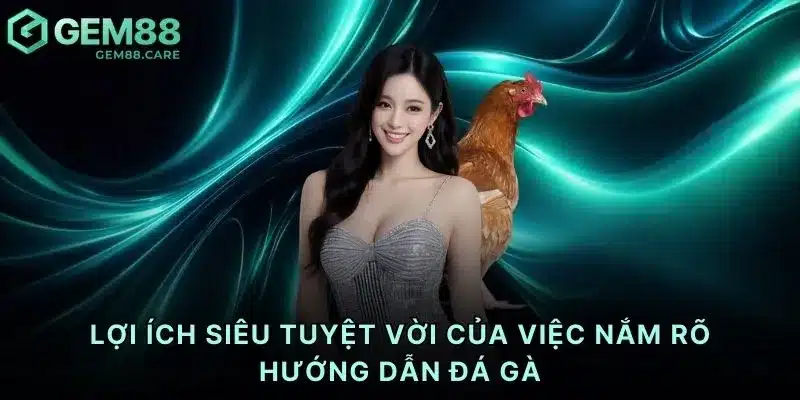 Lợi ích siêu tuyệt vời của việc nắm rõ hướng dẫn đá gà