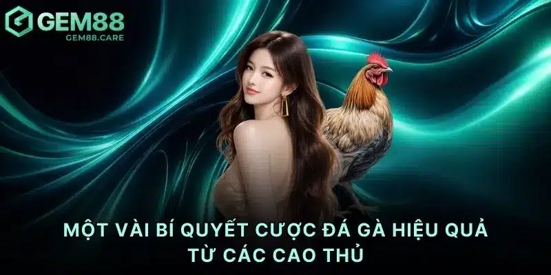 Một vài bí quyết cược đá gà hiệu quả từ các cao thủ