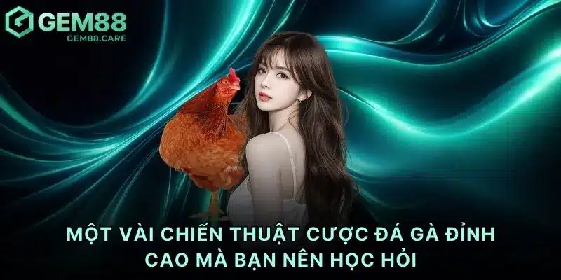 Một vài chiến thuật cược đá gà đỉnh cao mà bạn nên học hỏi