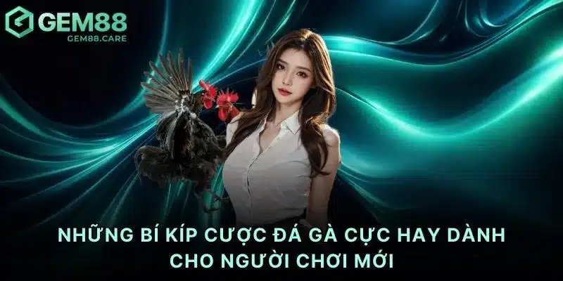 Những bí kíp cược đá gà cực hay dành cho người chơi mới