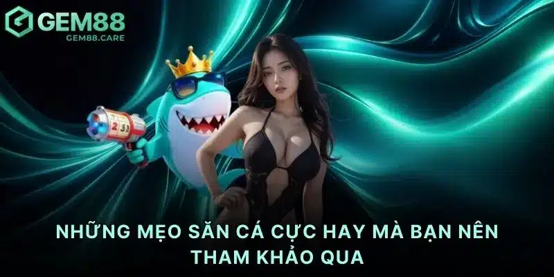 Những mẹo săn cá cực hay mà bạn nên tham khảo qua