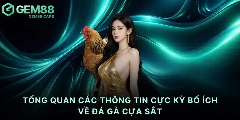 Tổng quan các thông tin cực kỳ bổ ích về đá gà cựa sắt