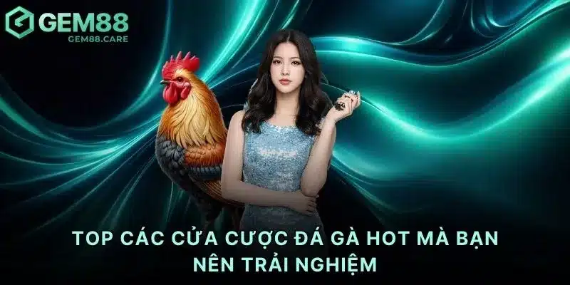 TOP các cửa cược đá gà HOT mà bạn nên trải nghiệm